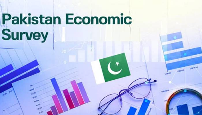 قومی اقتصادی سروے پیش، کئی شعبوں میں معاشی اہداف حاصل نہ ہو سکے