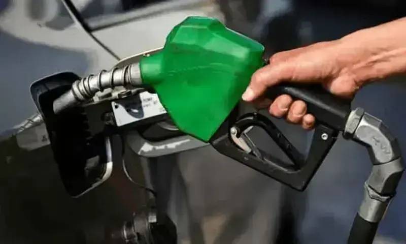 تیل کی قیمتوں میں مزید کمی کا امکان، عوام کو ریلیف ملے گا: رانا ثنااللہ