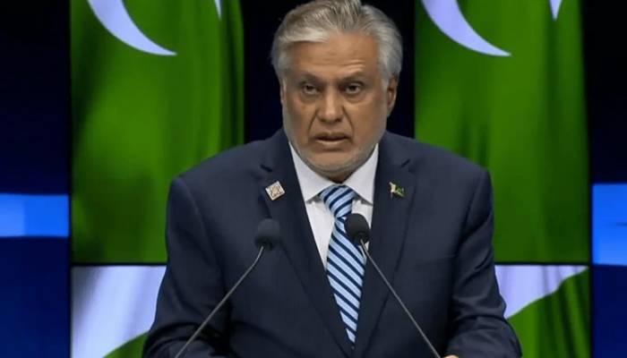 بھارت جنگ کے بیج بو کر خطے کا امن خطرے میں نہ ڈالے، نائب وزیر اعظم 