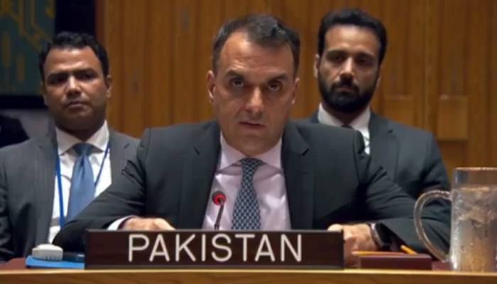 حوثیوں کے میزائل حملے ناقابلِ قبول، پاکستان کا سعودی عرب سے مکمل یکجہتی کا اظہار
