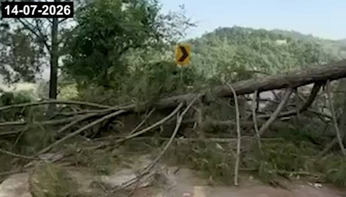 کوٹلی تاتراڑکھل شاہراہ کی بحالی کیلئے کلیئرنس آپریشن جاری، کالعدم جوائنٹ ایکشن کمیٹی کے مسلح جتھوں کا حملہ
