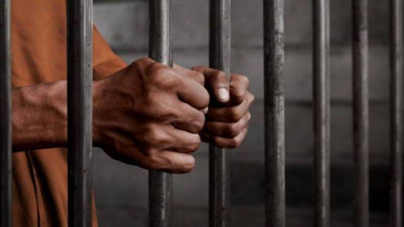 امریکہ میں بھارتی نژاد شخص کو 20 سال قید کی سزا