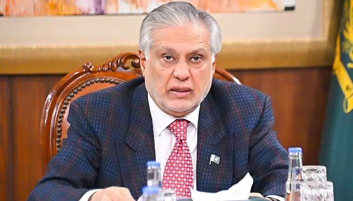 بحیرہ احمر میں تجارتی جہاز پر حوثیوں کے حملے میں 3 پاکستانی جاں بحق، نائب وزیر اعظم کی مذمت