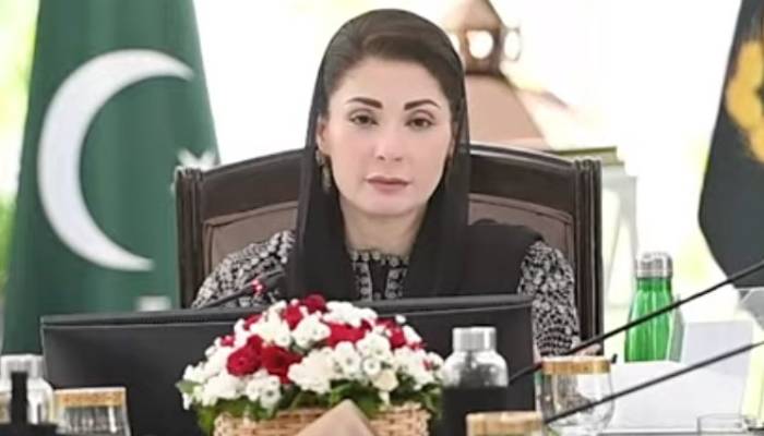 وزیر اعلی مریم نواز کا مریضوں کیلئے '' اے آئی پاورڈ سکینر'' متعارف کرانے کا فیصلہ