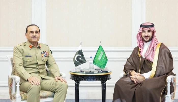 فیلڈ مارشل عاصم منیر کی ترکیہ میں اعلیٰ سطح کی ملاقاتیں، علاقائی سیکیورٹی ،دفاعی تعاون پر تبادلہ خیال