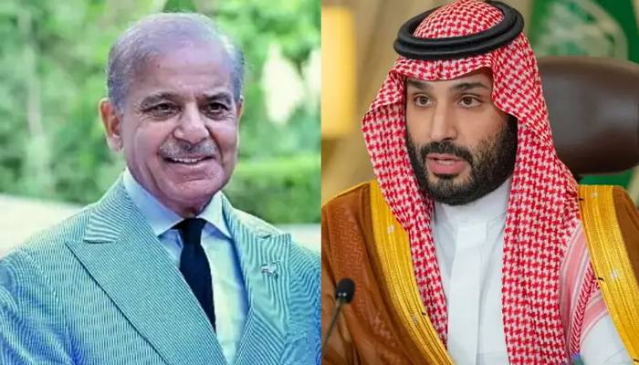 وزیر اعظم اور سعودی ولی عہد کے درمیان ٹیلیفونک رابطہ، حوثیوں کے حملوں کی شدید مذمت
