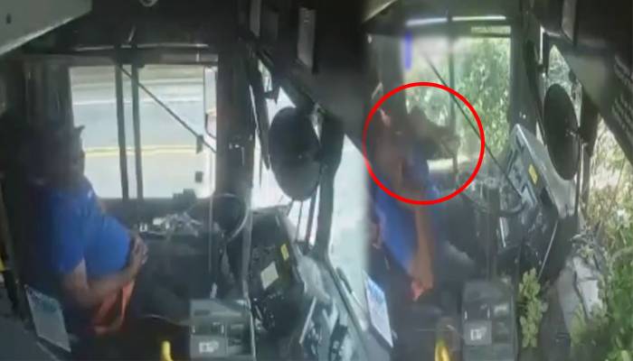 ڈرائیور کو دورانِ سفر نیند آ گئی، مسافر بس سڑک سے اتر کر درختوں سے ٹکرا گئی، خوفناک  ویڈیو  وائرل
