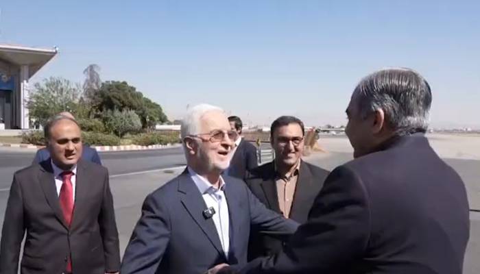 وفاقی وزیر داخلہ محسن نقوی تہران پہنچ گئے، ایرانی وزیر داخلہ نے استقبال کیا