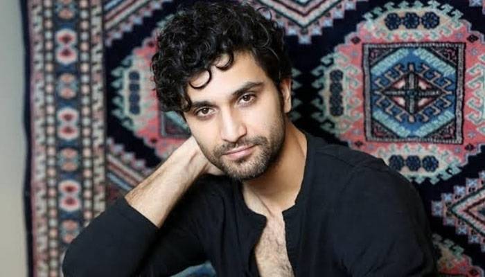 احد رضا میر کا شوبز انڈسٹری سے بریک لینے کا اعلان