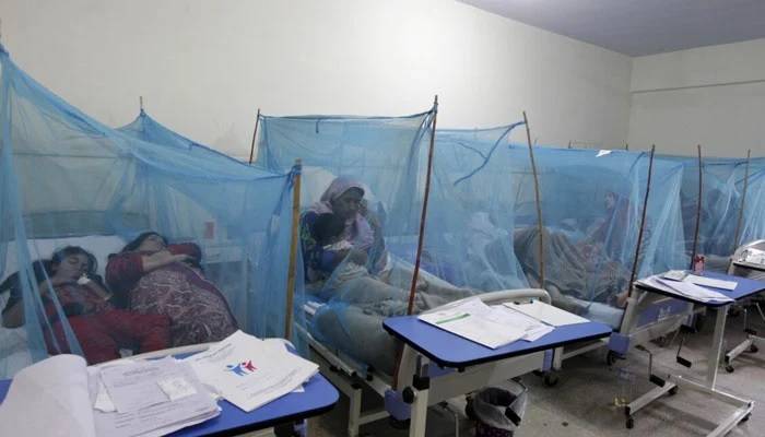 لوئر دیر کے پہاڑی علاقوں میں بخار سے 7 اموات، تحقیقات شروع
