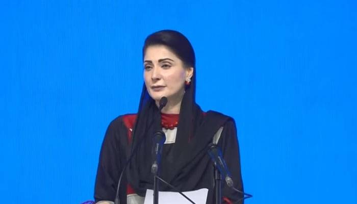 پنجاب اے آئی دور میں داخل، خیبرپختونخوا پتھر کے دور میں ہے، مریم نواز
