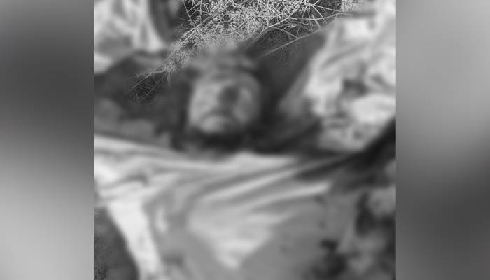 لکی مروت:  مشترکہ آپریشن  میں کوہاٹ پولیس لائنز حملے کا مسٹر مائنڈ دہشتگردخوارجی زاہد گل ہلاک