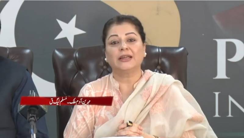 ق لیگ حکومت کا حصہ، ملکی ترقی اور عوامی خوشحالی کیلئے اپنا کردار ادا کر رہے ہیں: مہرین آدم ملک