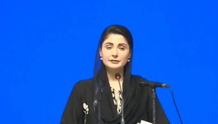 کوئی مجرم چاہے ہماری ہی جماعت سے کیوں نہ ہو، اسے نہیں چھوڑا جائے گا، مریم نواز