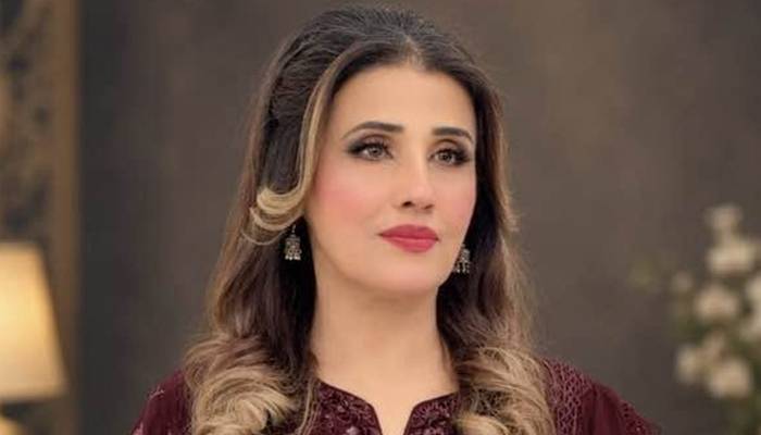 کراچی: معروف گلوکارہ حمیرا چنا کی گاڑی بہادر آباد سے چوری